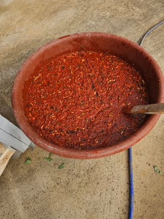 충남공주이도은님의 자유주제 · 자유게시판 작성글 사진