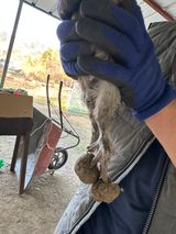 팜모닝 자유주제·자유게시판 게시글 이미지