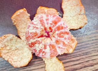 김행복님의 작성글 사진