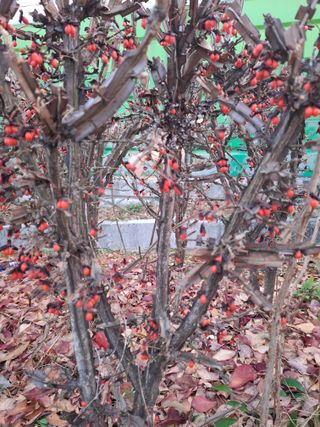 MSG0074님의 자유주제 · 자유게시판 작성글 사진