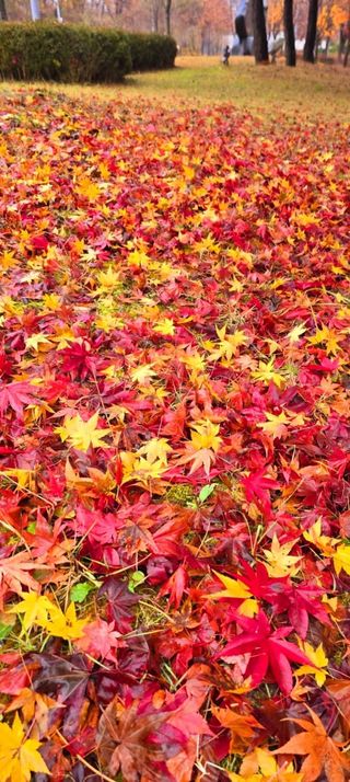 안길원님의 자유주제 · 자유게시판 작성글 사진