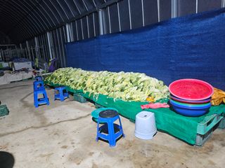 이인오님의 자유주제 · 자유게시판 작성글 사진