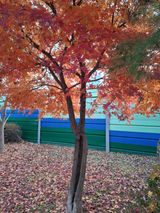 팜모닝 자유주제·자유게시판 게시글 이미지