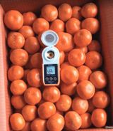 팜모닝 · 게시글 이미지