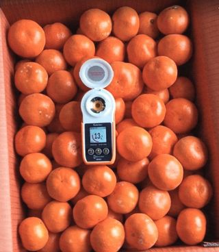 김행복님의 작성글 사진