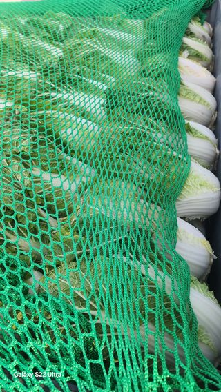 매기소골농장님의 자유주제 · 자유게시판 작성글 사진