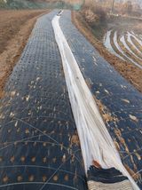 팜모닝 자유주제·자유게시판 게시글 이미지