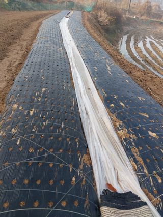 정금천님의 자유주제 · 자유게시판 작성글 사진