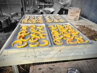 허굴산농장님의 자유주제 · 자유게시판 작성글 사진