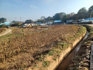 박영수부안님의 농사, 무엇이든 물어보세요! · 참여글 작성글 사진