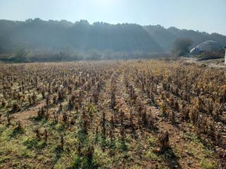 박영수부안님의 자유주제 · 자유게시판 작성글 사진
