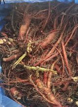 팜모닝 · 게시글 이미지