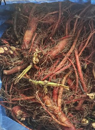 박동현님의 작성글 사진