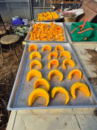 허굴산농장님의 자유주제 · 자유게시판 작성글 사진