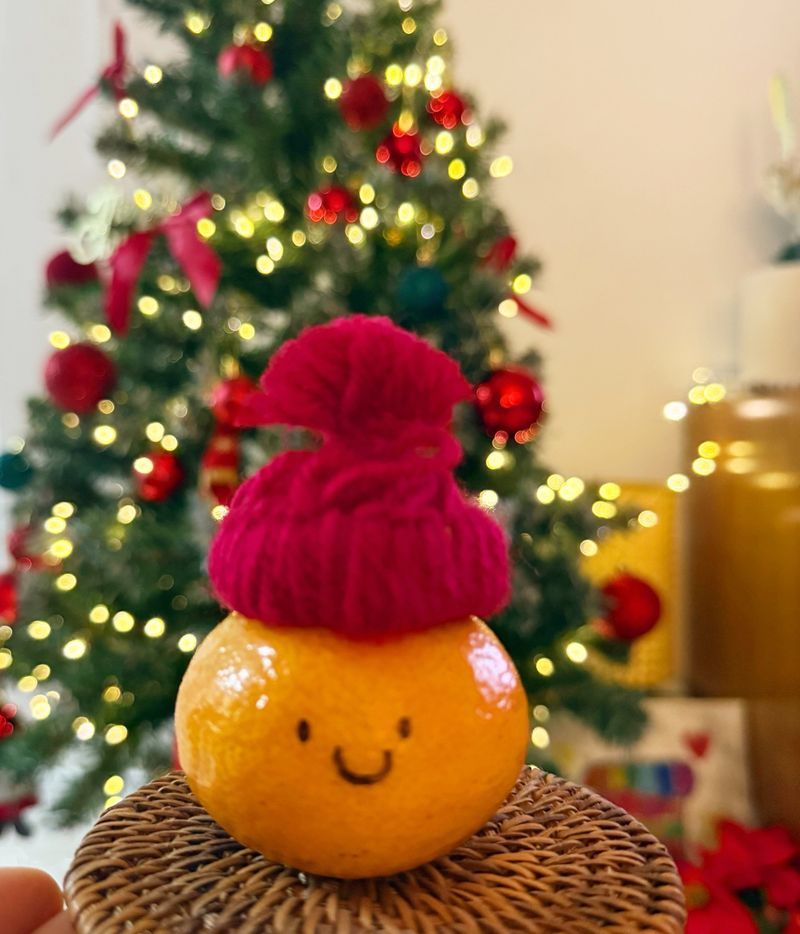 고권봉님의 장터 판매 상품 [타이벡 조생귤 10kg 주스용] 첨부 사진