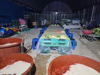 이인오님의 자유주제 · 자유게시판 작성글 사진