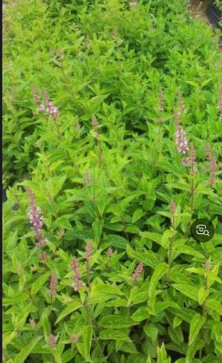 박동현님의 작성글 사진