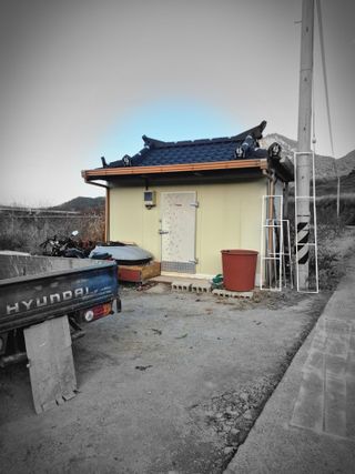 허굴산농장님의 자유주제 · 자유게시판 작성글 사진