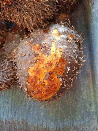 김중언님의 자유주제 · 자유게시판 작성글 사진