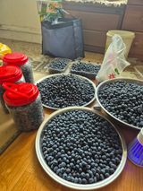 팜모닝 · 게시글 이미지