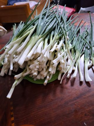 유영옥님의 자유주제 · 자유게시판 작성글 사진