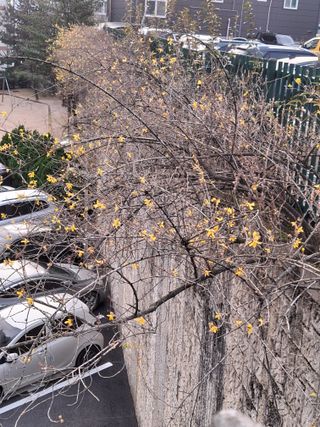 MSG0074님의 자유주제 · 자유게시판 작성글 사진