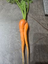 팜모닝 자유주제·자유게시판 게시글 이미지