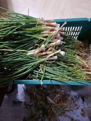 유영옥님의 자유주제 · 자유게시판 작성글 사진