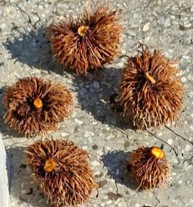 김중언님의 자유주제 · 자유게시판 작성글 사진