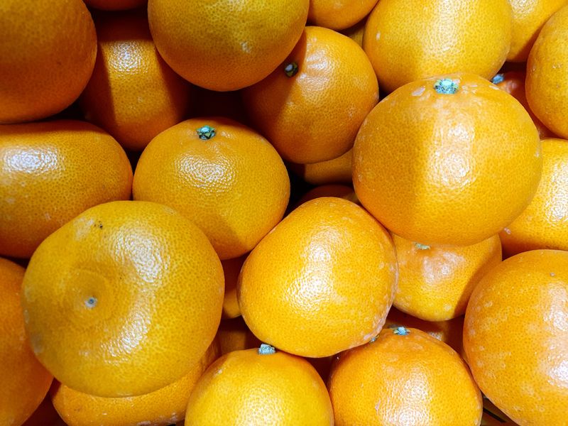 성소영 님의 장터 판매 상품 [황금향 할인판매합니다 ] 첨부 사진