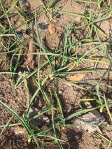 팜모닝 자유주제·자유게시판 게시글 이미지