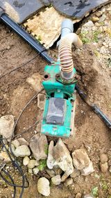 팜모닝 자유주제·자유게시판 게시글 이미지