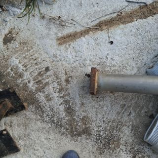 오영도님의 자유주제 · 자유게시판 작성글 사진