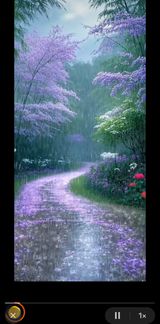 팜모닝 · 게시글 이미지