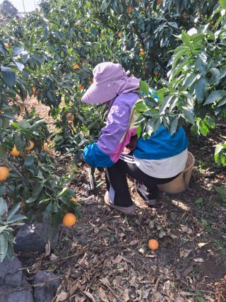 성소영 님의 자유주제 · 자유게시판 작성글 사진