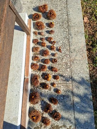 김중언님의 자유주제 · 자유게시판 작성글 사진