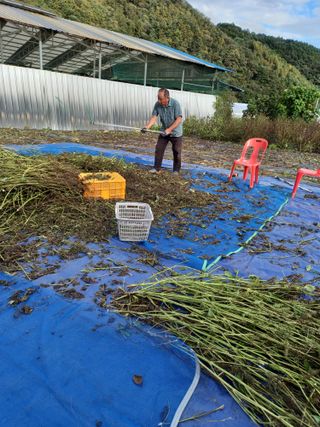 김영문님의 작성글 사진
