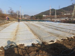 옥천서화농님의 자유주제 · 자유게시판 작성글 사진