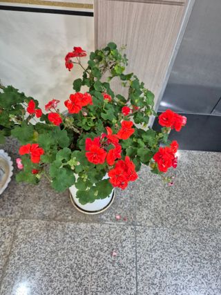 귤19190님의 작성글 사진