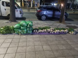 이호님의 자유주제 · 자유게시판 작성글 사진