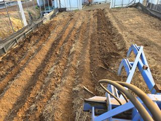 기본에 충실님의 자유주제 · 자유게시판 작성글 사진