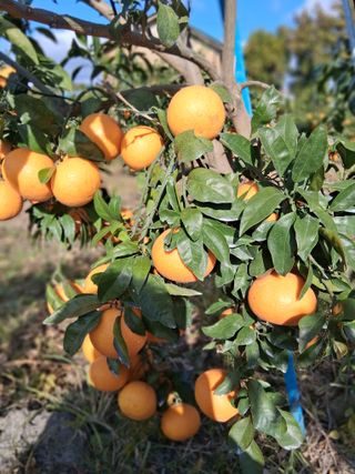 성소영 님의 자유주제 · 자유게시판 작성글 사진