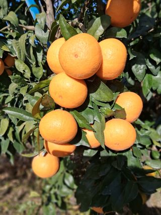 성소영 님의 자유주제 · 자유게시판 작성글 사진