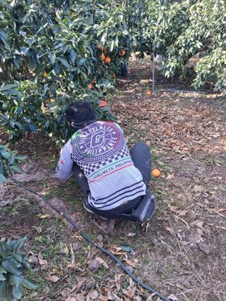 성소영 님의 자유주제 · 자유게시판 작성글 사진