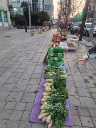 이호님의 자유주제 · 자유게시판 작성글 사진