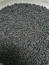 팜모닝 자유주제·자유게시판 게시글 이미지