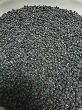 솔청님의 자유주제 · 자유게시판 작성글 사진