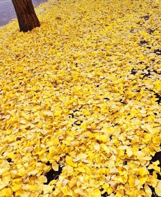 안길원님의 자유주제 · 자유게시판 작성글 사진