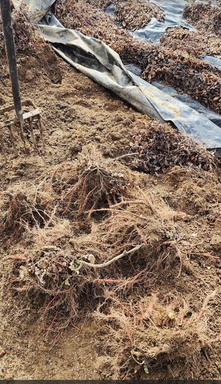 박동현님의 작성글 사진