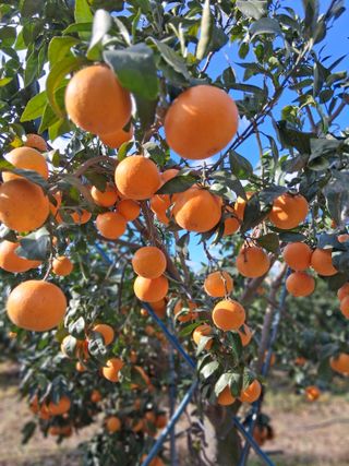 성소영 님의 자유주제 · 자유게시판 작성글 사진